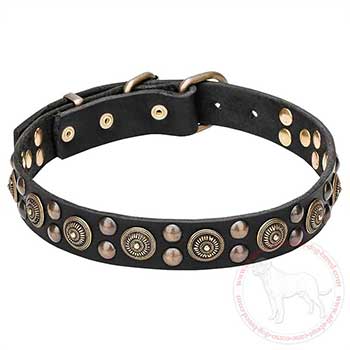 Leather Cane Corso collar with small and large studs