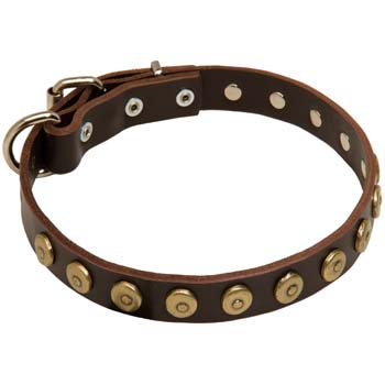 Cane Corso leather dog collars with brass decoration