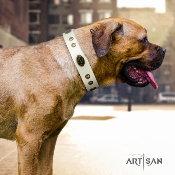 Cane Corso embellished collar made of quality full grain genuine leather