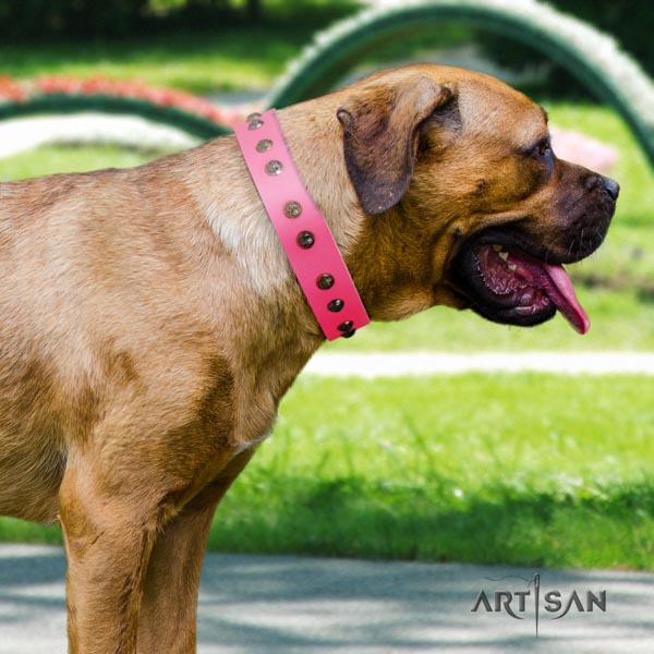 Cane Corso high quality embellished genuine leather collar