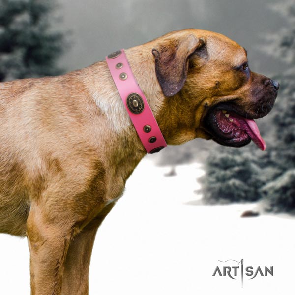 Cane Corso reliable embellished natural genuine leather collar