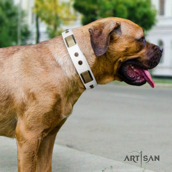 Cane Corso studded collar made of strong natural genuine leather