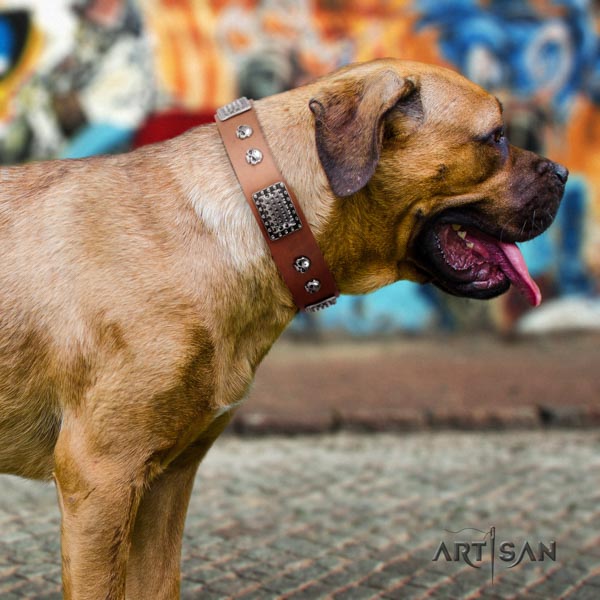 Cane Corso adorned collar made of strong full grain natural leather