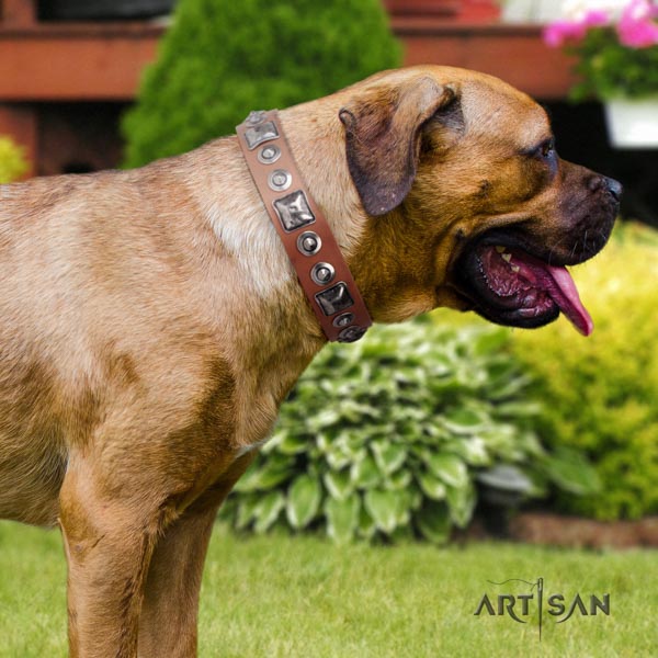 Cane Corso high quality decorated leather collar