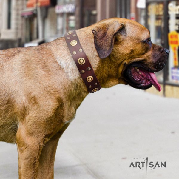 Cane Corso embellished collar made of gentle to touch full grain natural leather