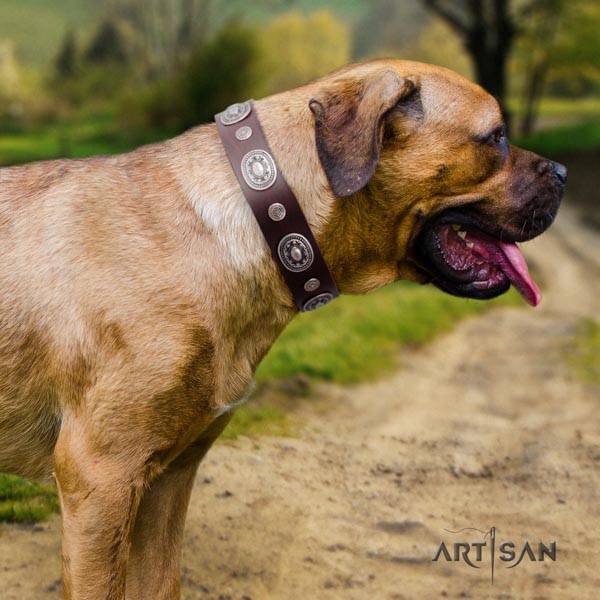 Cane Corso strong decorated natural genuine leather collar