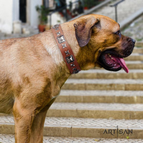 Cane Corso soft decorated leather collar