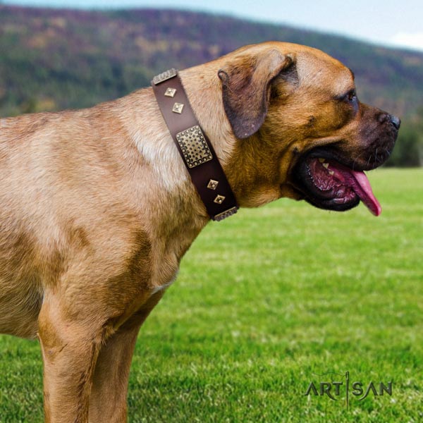 Cane Corso adorned collar made of quality full grain leather