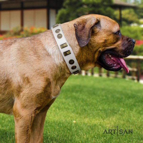 Cane Corso embellished collar made of durable full grain natural leather