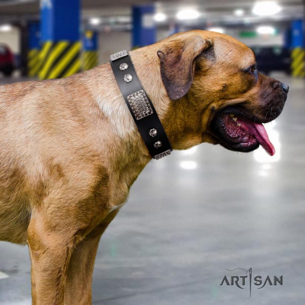Cane Corso studded collar made of soft natural genuine leather