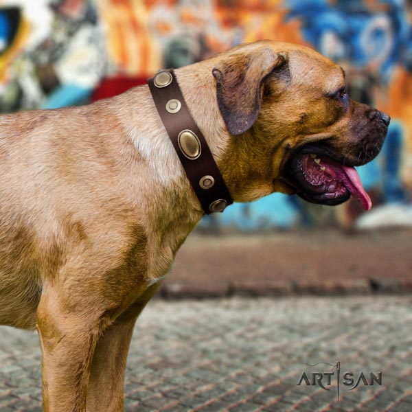 Cane Corso decorated collar made of best quality natural genuine leather