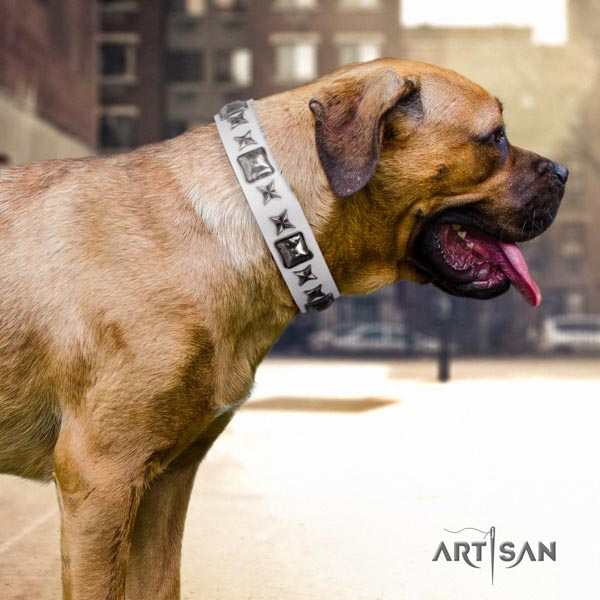 Cane Corso gentle to touch decorated full grain leather collar