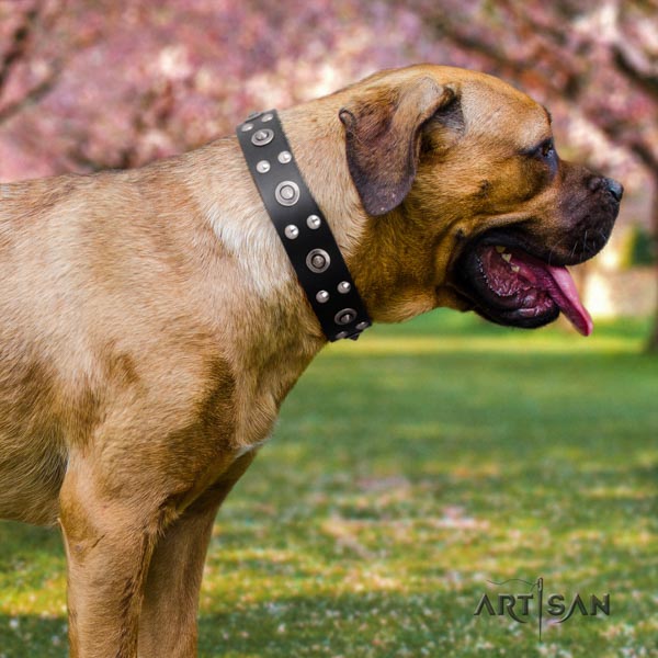 Cane Corso adorned collar made of high quality genuine leather