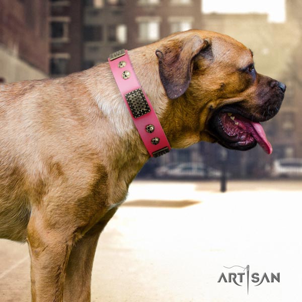 Cane Corso embellished collar made of high quality full grain natural leather