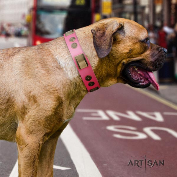 Cane Corso studded collar made of strong full grain genuine leather