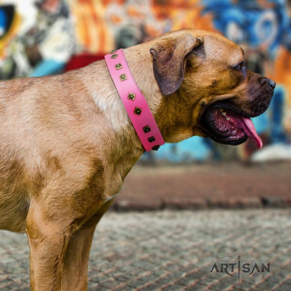 Cane Corso decorated collar made of reliable full grain natural leather