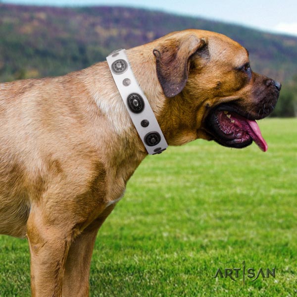 Cane Corso top notch embellished full grain natural leather collar