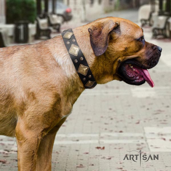 Cane Corso embellished collar made of top rate full grain natural leather