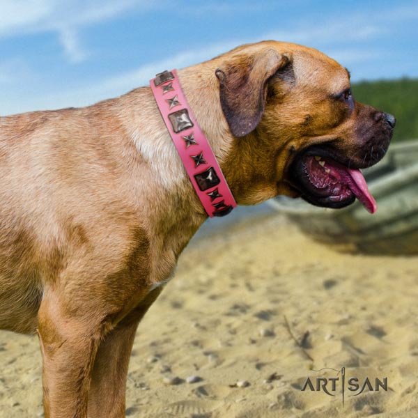Cane Corso flexible studded full grain leather collar
