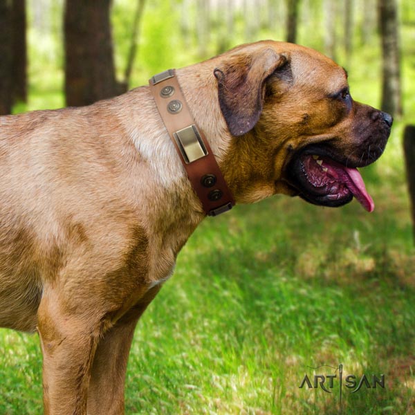 Cane Corso studded collar made of durable full grain leather