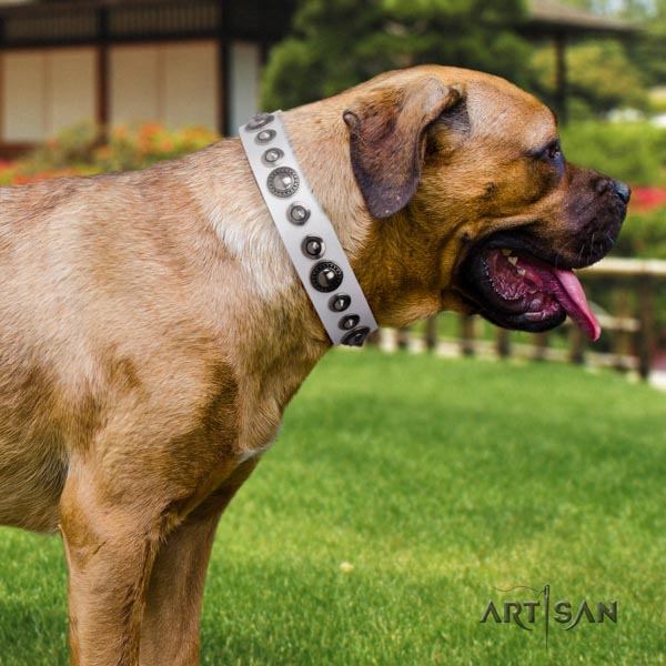 Cane Corso high quality embellished full grain genuine leather collar
