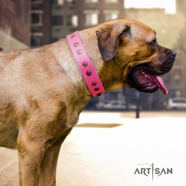 Cane Corso decorated collar made of top rate leather