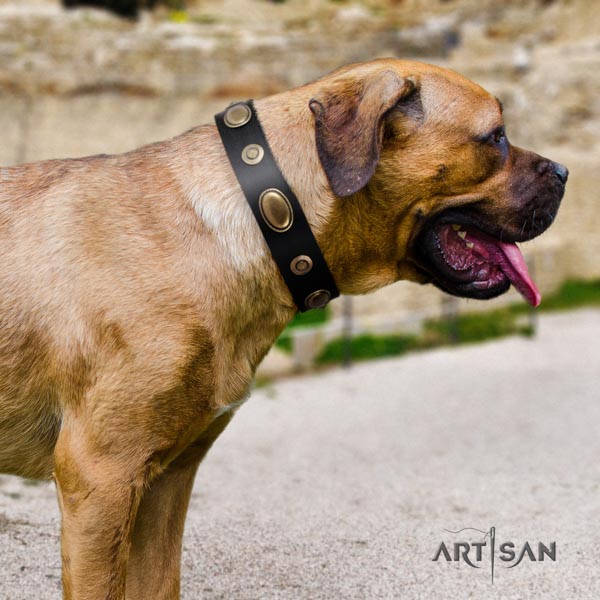 Cane Corso adorned collar made of soft genuine leather