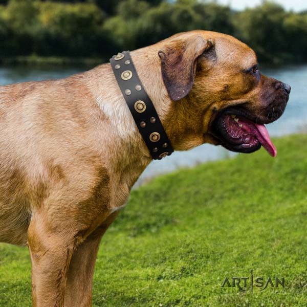 Cane Corso decorated collar made of flexible leather