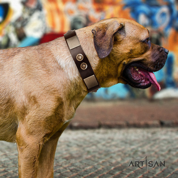 Cane Corso convenient natural genuine leather dog collar for daily walking