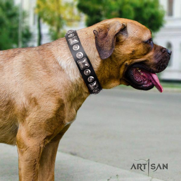 Cane Corso top rate decorated genuine leather collar