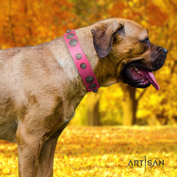 Cane Corso exquisite genuine leather dog collar for fancy walking