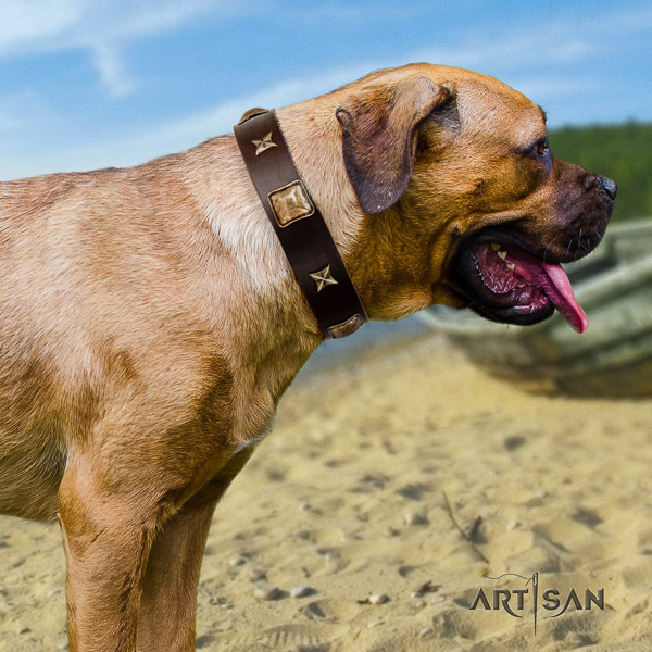 Cane Corso perfect fit genuine leather dog collar for walking