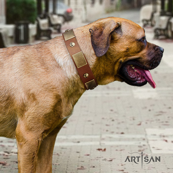 Cane Corso exquisite natural genuine leather dog collar for walking