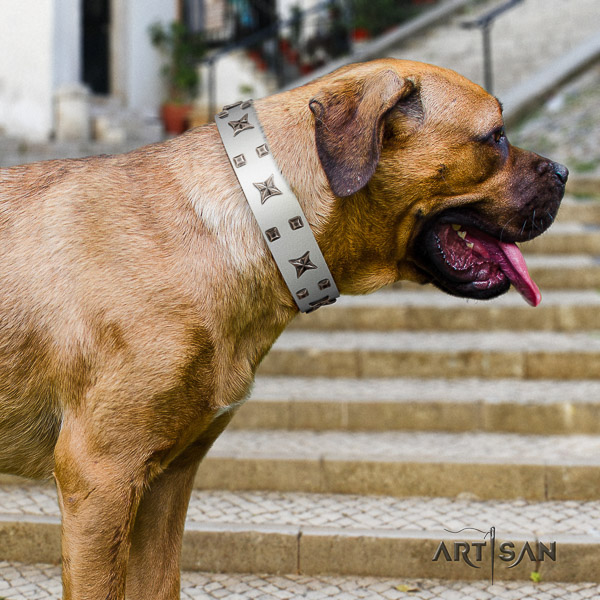 Cane Corso impressive full grain leather dog collar for stylish walking