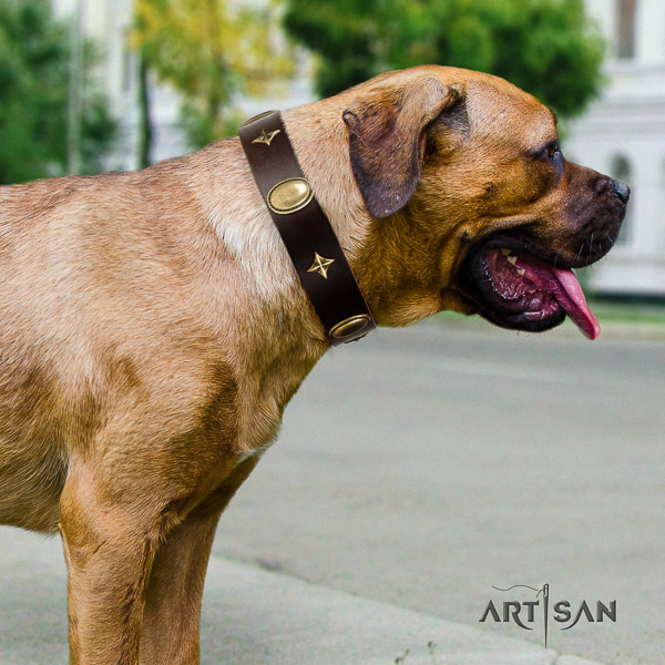 Cane Corso inimitable full grain genuine leather dog collar for everyday use