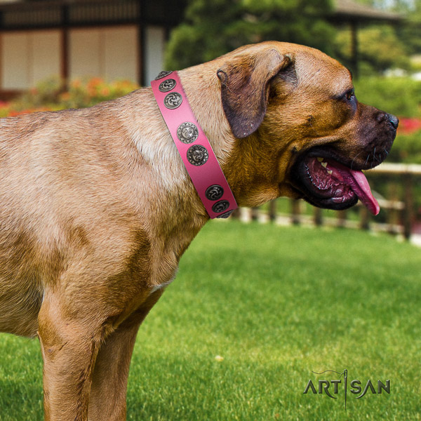 Cane Corso impressive genuine leather dog collar for comfortable wearing