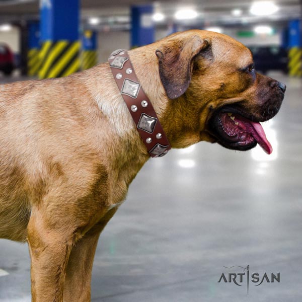 Cane Corso decorated collar made of flexible genuine leather