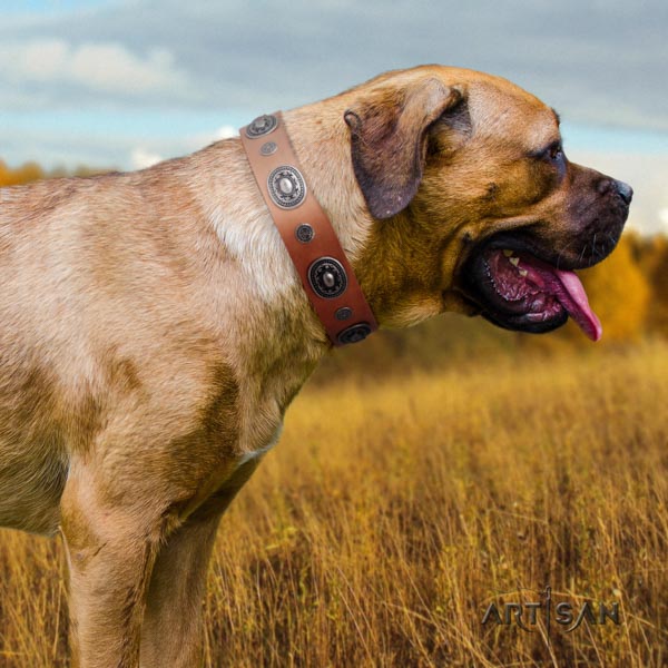 Cane Corso soft embellished full grain genuine leather collar