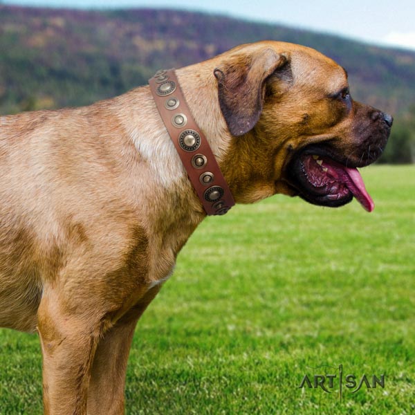 Cane Corso top rate embellished full grain leather collar