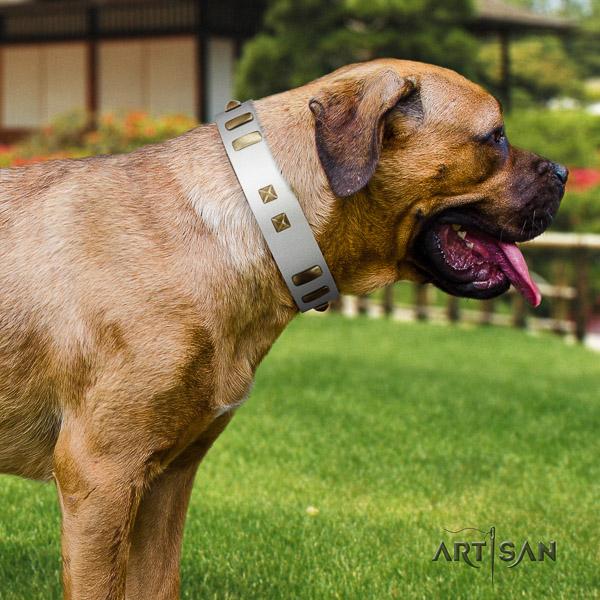Cane Corso stunning leather dog collar for walking
