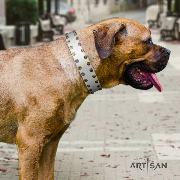 Cane Corso fine quality full grain leather dog collar for comfy wearing