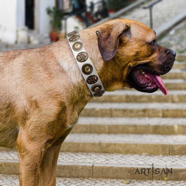 Cane Corso decorated genuine leather dog collar for daily use