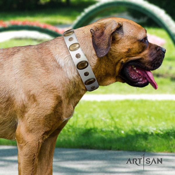 Cane Corso remarkable leather dog collar for walking
