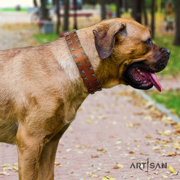 Cane Corso impressive genuine leather dog collar for stylish walking