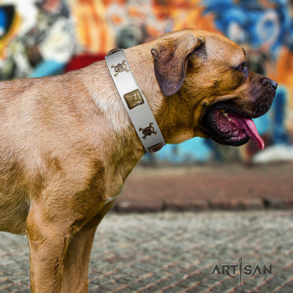 Cane Corso unique natural genuine leather dog collar for everyday walking