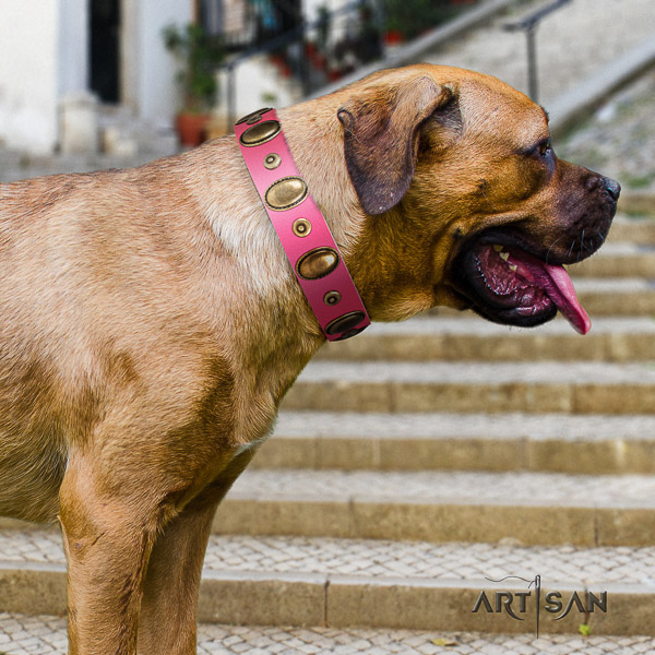 Cane Corso trendy full grain natural leather dog collar for comfortable wearing
