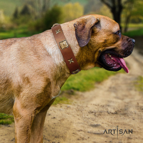 Cane Corso stunning leather dog collar for handy use