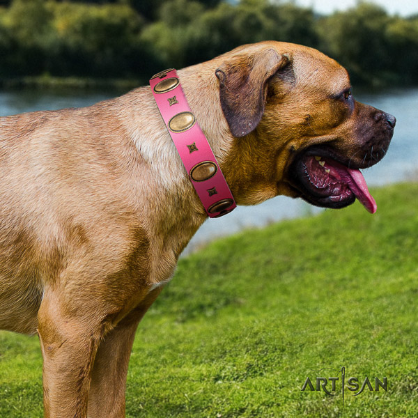 Cane Corso handcrafted full grain genuine leather dog collar for daily use