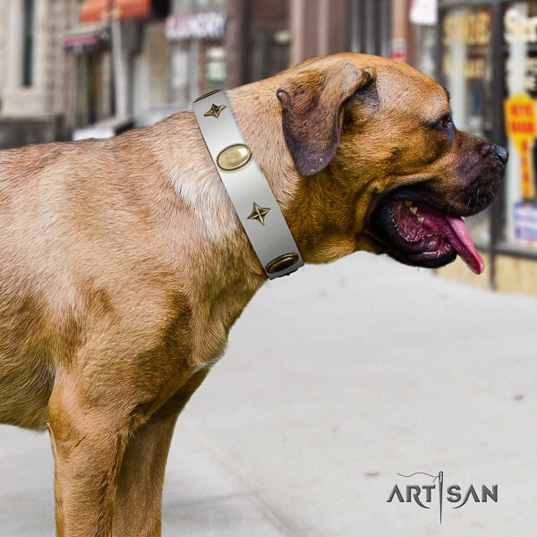Cane Corso exquisite leather dog collar for basic training