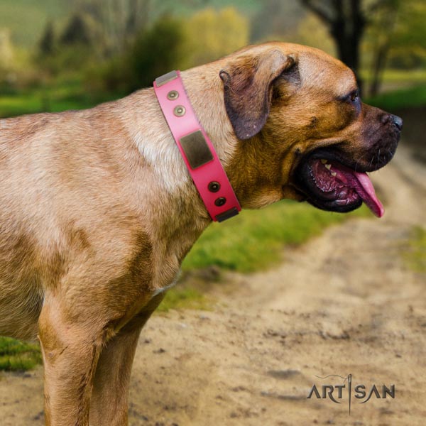 Cane Corso adorned collar made of top rate genuine leather